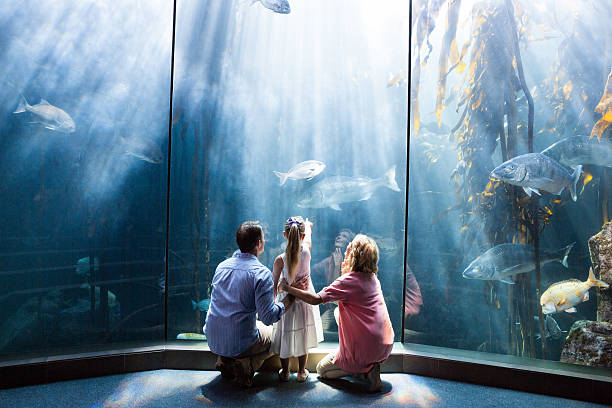 indossare vista della famiglia guardando fish tank - acquarium foto e immagini stock