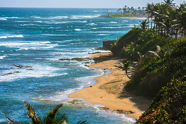istock Seacoast in Puerto Rico 488473486