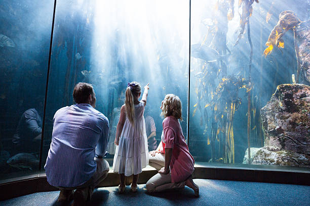 istock Family on day out at the aquarium 488473676