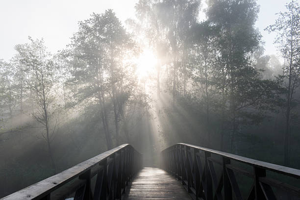 Early morning foggy landscape with old wooden bridge and tree silhouette with sun rays on a background, Sweden