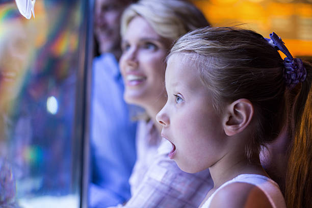 istock Surprised daughter behind a starfish tank 488473860