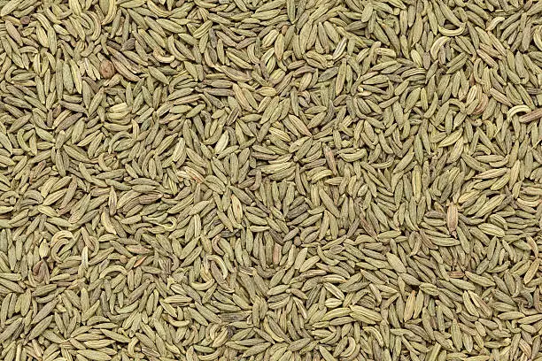Organic Aniseed (Pimpinella anisum) closeup background texture.