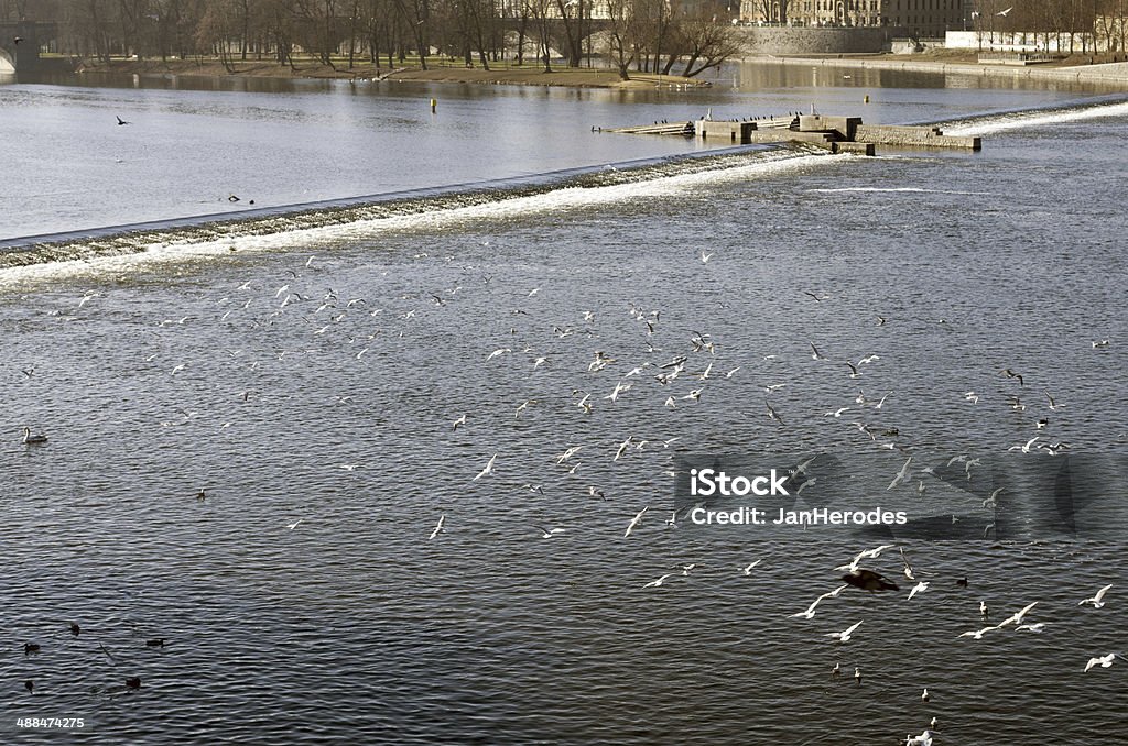 O rio em Praga - Royalty-free Ao Ar Livre Foto de stock