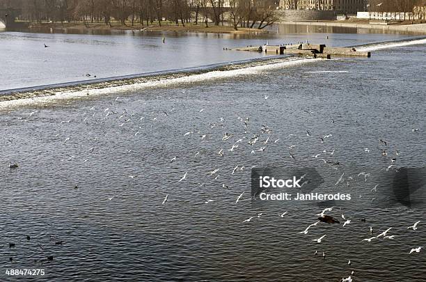 O Rio Em Praga - Fotografias de stock e mais imagens de Ao Ar Livre - Ao Ar Livre, Capitais internacionais, Cidade Pequena