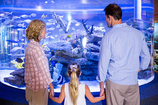 istock Familly looking at fish tank 488474296