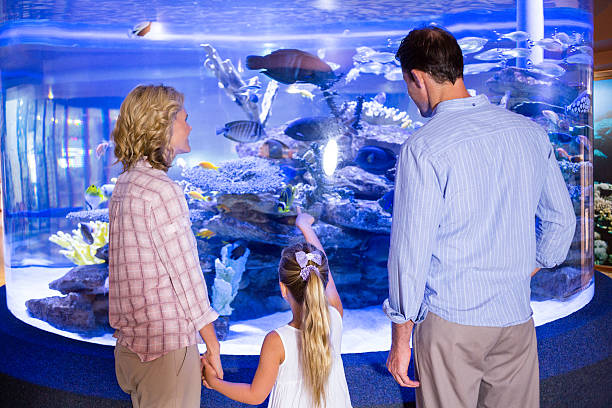 istock Familly looking at fish tank 488474356