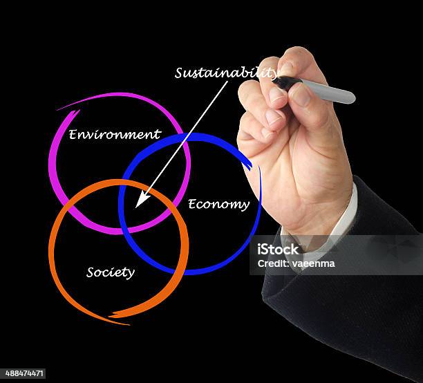 Presentation Of Diagram Of Sustainability Stock Photo - Download Image Now - Activist, Adult, Adults Only