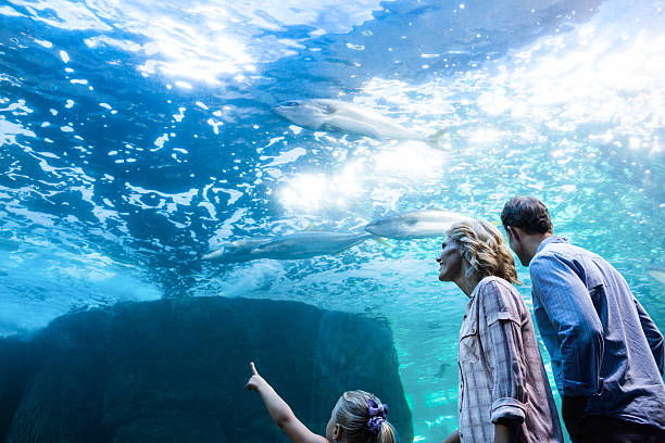 istock Familly looking at fish tank 488474648