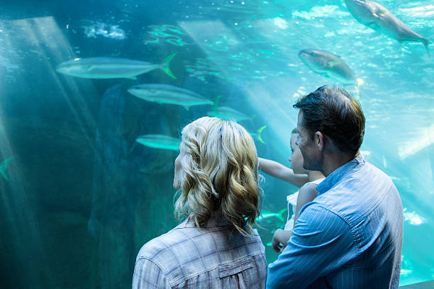 istock Familly looking at fish tank 488475276