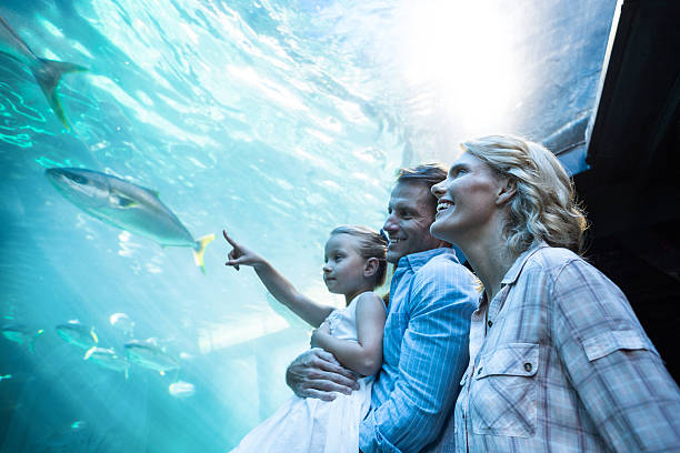 istock Familly looking at fish tank 488475326