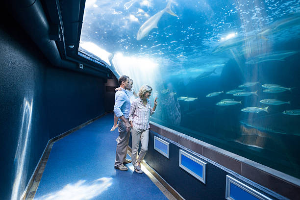 istock Familly looking at fish tank 488475462