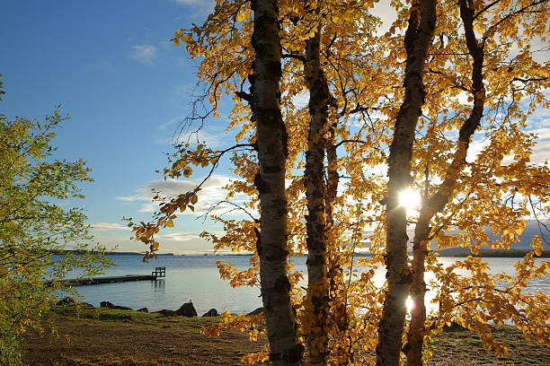 inari lake, Laponia – zdjęcie