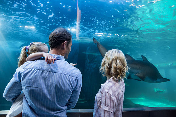 istock Familly looking at fish tank 488475714