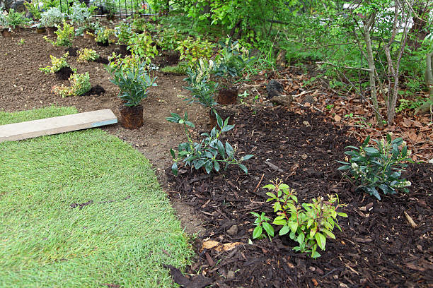 istock new garden being planted 488475947