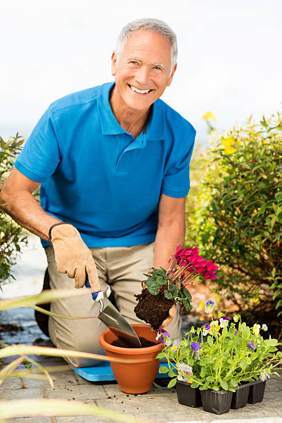 istock Senior Man Planting A Sapling With Garden Trowel. 488476111