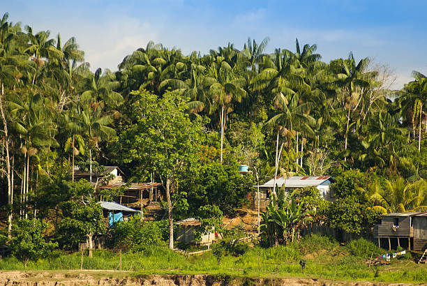 istock Peru, Peruvian Amazonas landscape. The photo present typical indian 488477225