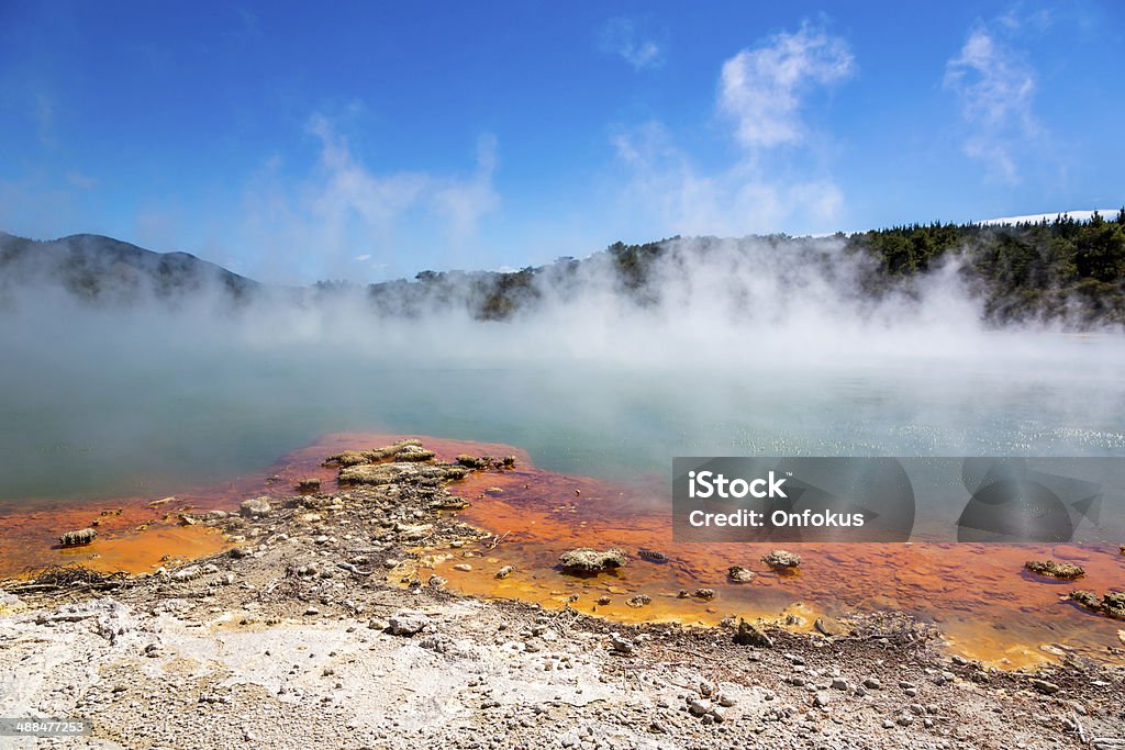 Llena de agua en la piscina con champán, reserva de Rotorua térmico de Waiotapu - Foto de stock de Agua libre de derechos