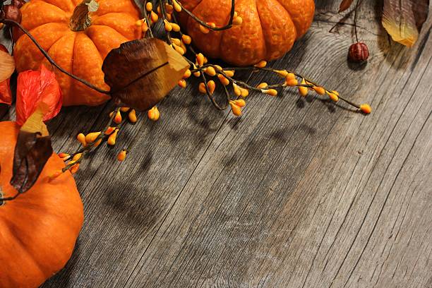 istock Miniature pumpkin Autumn Fall background Halloween 488480262