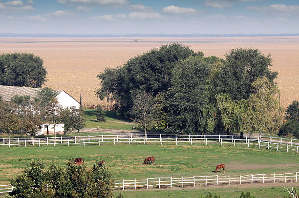istock horses in corral on farm rural landscape 488480982