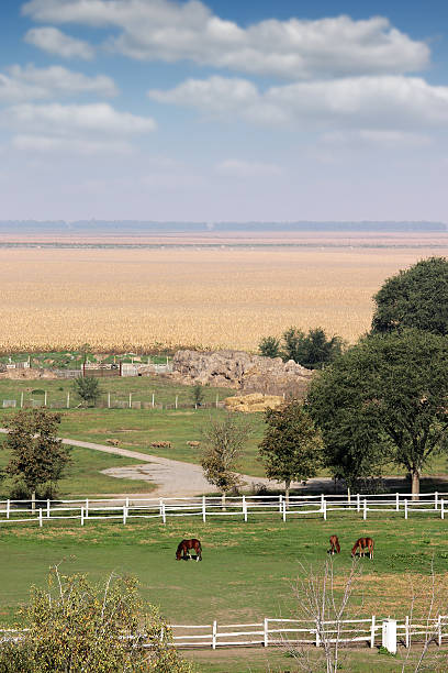 istock horses on farm rural landscape 488481034