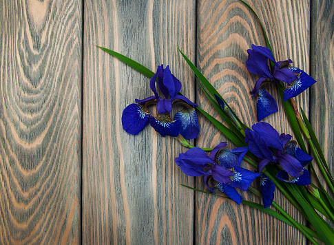 Iris flowers on a old wooden background