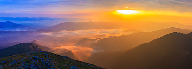 istock Flourishing in the mountains 488488262