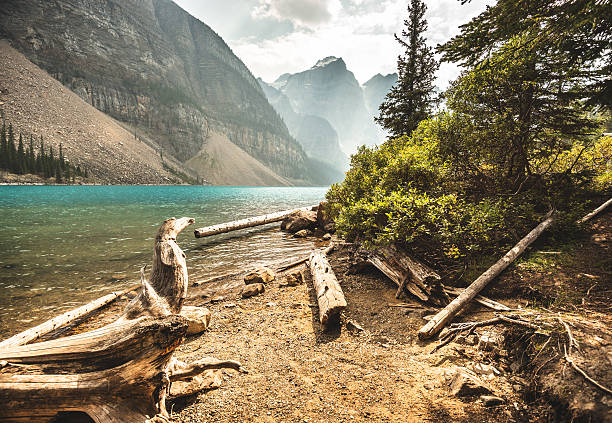 istock Moraine Lake in Banff National Park - Canada 488489268