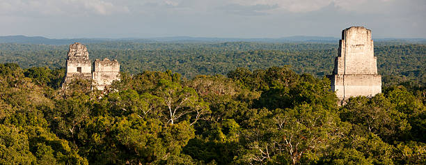 istock Panoramic view of Mayan pyramids at Tikal, Guatemala 488492014