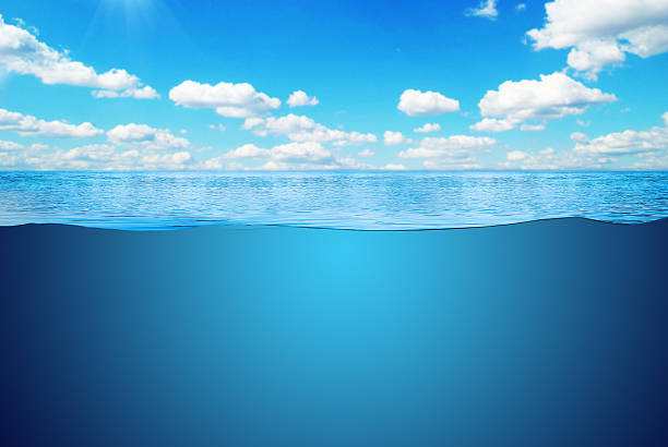 istock Sea view with underwater landscape 488492512