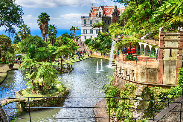 Scenic of Monte Palace Tropical Garden, Madeira Island Funchal, Madeira, Portugal - April 14, 2015: The Monte Palace Tropical Garden presents an area of 70.000 square meters with exotic plants collection coming from all over the world. funchal stock pictures, royalty-free photos & images
