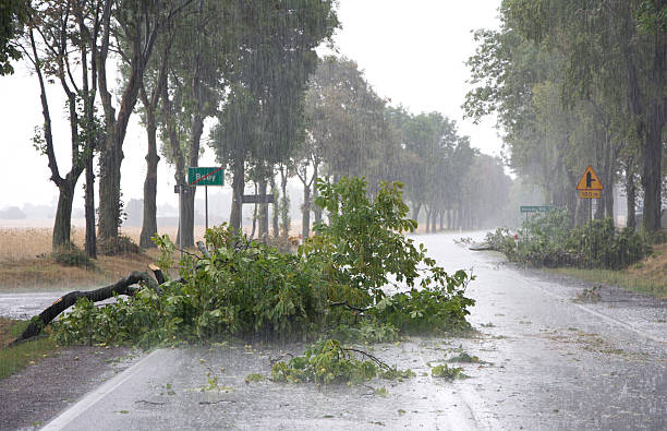 wiatr storm uszkodzenia - tornado storm road disaster zdjęcia i obrazy z banku zdjęć