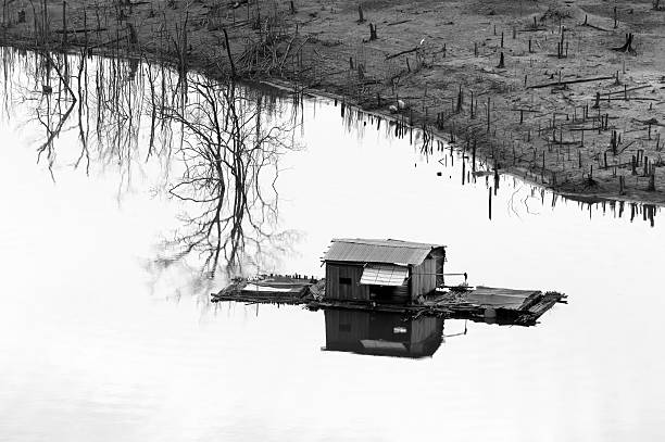istock Vietnam landscape, floating house, tree reflect 488494400