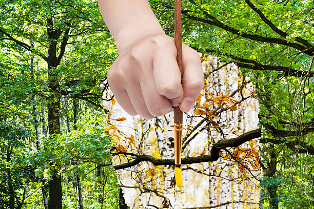 istock paintbrush paints yellow leaves on oak branch 488494708