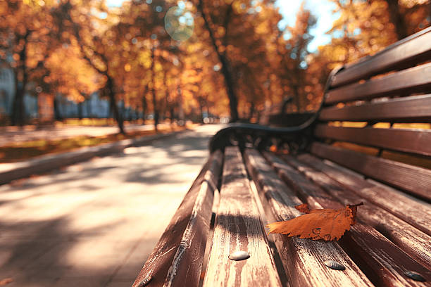 istock bench city street pedestrians 488495926