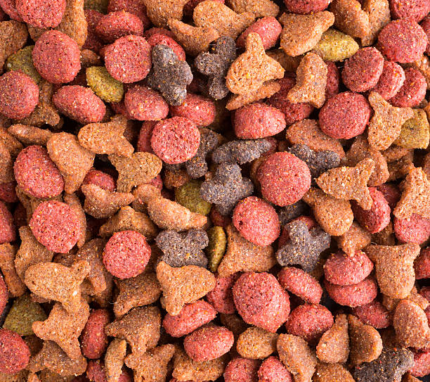istock Close view of generic dry cat food 488497682