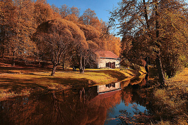 istock autumn landscape in Holland Park 488497882