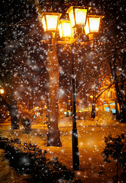 istock Lamp in the street at night 488498401