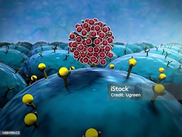 Receptores Células - Fotografias de stock e mais imagens de Hematopoese - Hematopoese, Agressão, Ampliação