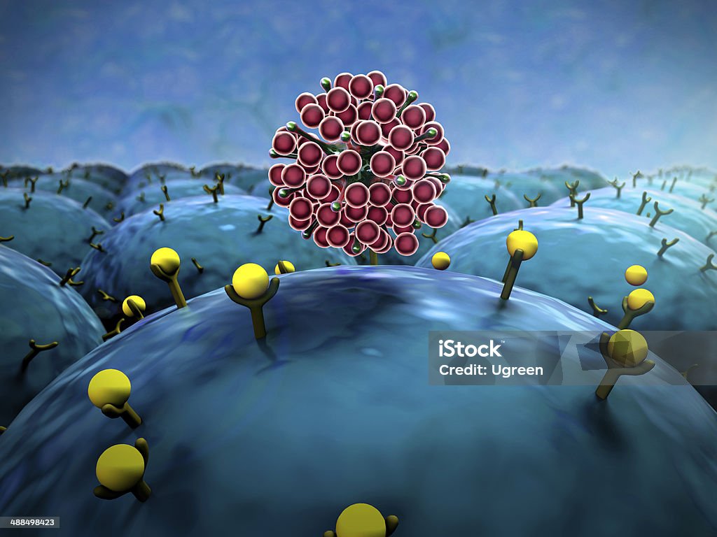 Рецепторов, клетки - Стоковые фото Гемопоэз роялти-фри