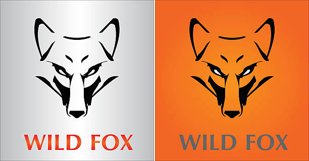 Fox. Fox cabeça. - ilustração de arte em vetor