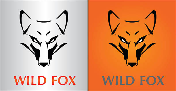 fox. fox head. - hayvan gözü stock illustrations