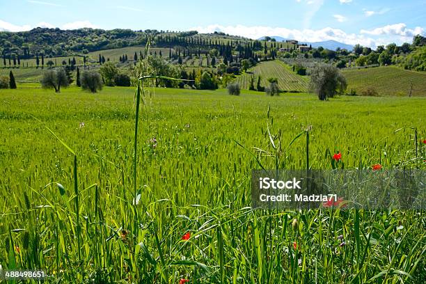 Toscana Foto de stock y más banco de imágenes de Agricultura - Agricultura, Aire libre, Ajardinado