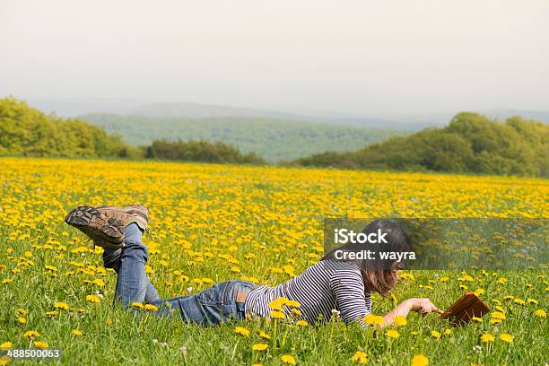 Mulher Usando Tablet Digital Na Primavera Prado - Fotografias de stock e mais imagens de Adulto - Adulto, Adulto maduro, Ajardinado