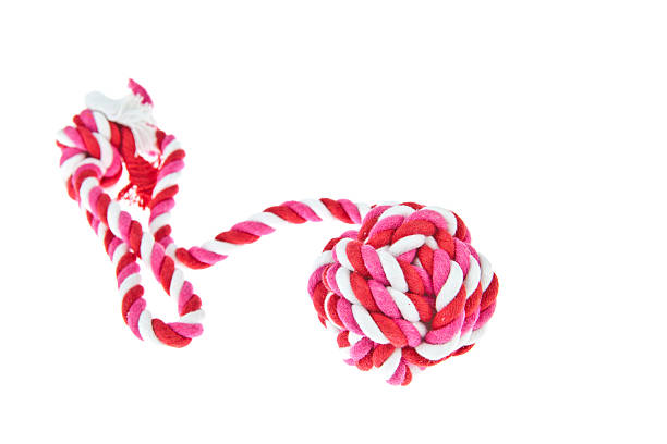 istock Cotton rope for dog toy 488500104