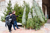 Young Couple Choosing Christmas Tree, City Center, Europe
