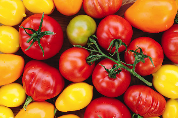 istock Ripe colorful organic tomatoes 488500884