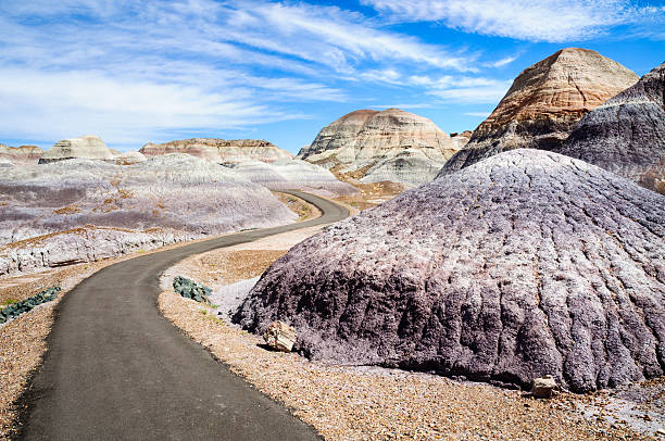 parco nazionale petrified forest - holbrook foto e immagini stock