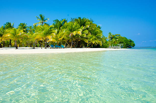 istock Paradise Beach on beautiful island South Water Caye - Belize 488502447