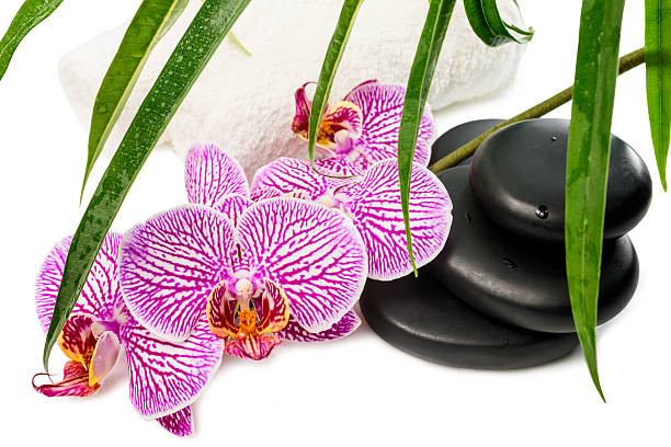 spa nature morte avec orchidée, noir pierres, feuilles vertes - aromatherapy single flower flower holding photos et images de collection