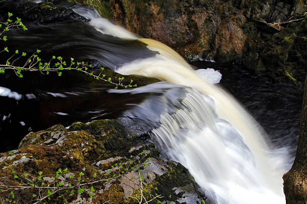 River Twiss Waterfall stock photo